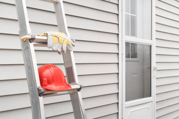 Best Siding Replacement  in Homer, AK