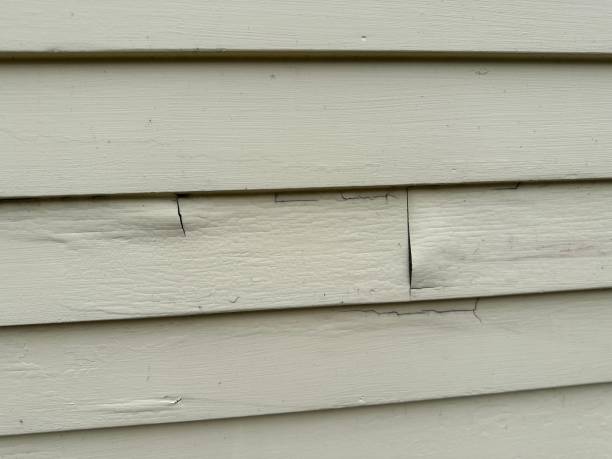 Siding Removal and Disposal in Homer, AK